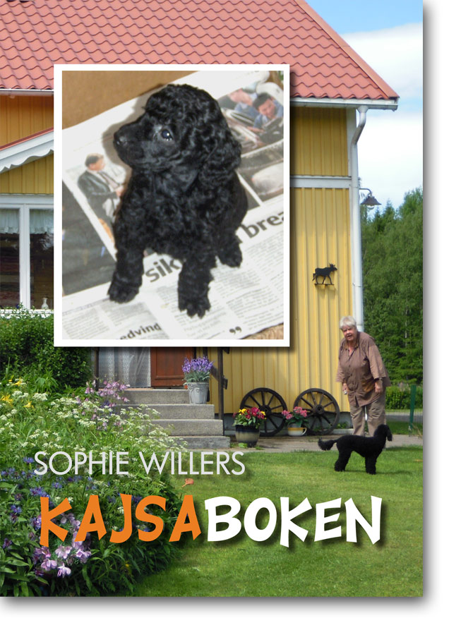 Kajsaboken Sophie Willers